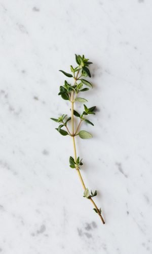 pexels-karolina-grabowska-4198115